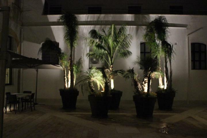 Chiostro Di S. Antonio Apartment มาร์ซาลา ภายนอก รูปภาพ